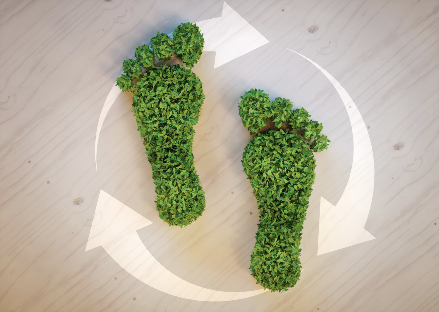 Réduction de notre empreinte environnementale
